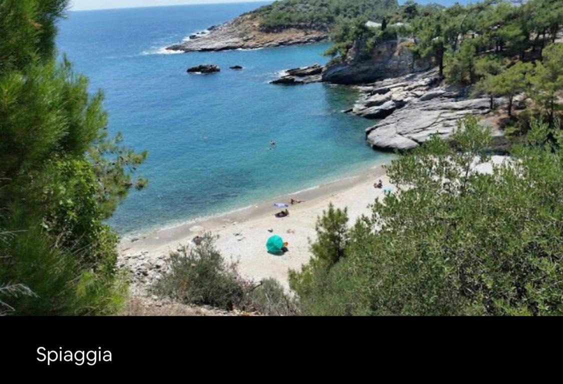 Aliki House Apartment Екстериор снимка